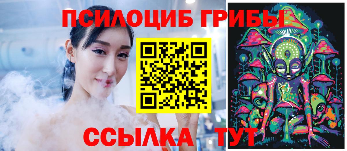 Сокол  Псилоцибиновые грибы Psilocybe  Вход с VPN  Галлюциногенные грибы Cubensis 