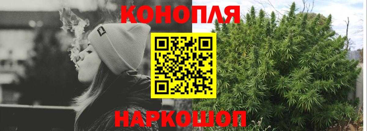 Сокол  Каннабис ГИДРОПОН  Конопля сатива  МАРИХУАНА LSD WEED  Канабис тримм  Вход с VPN 